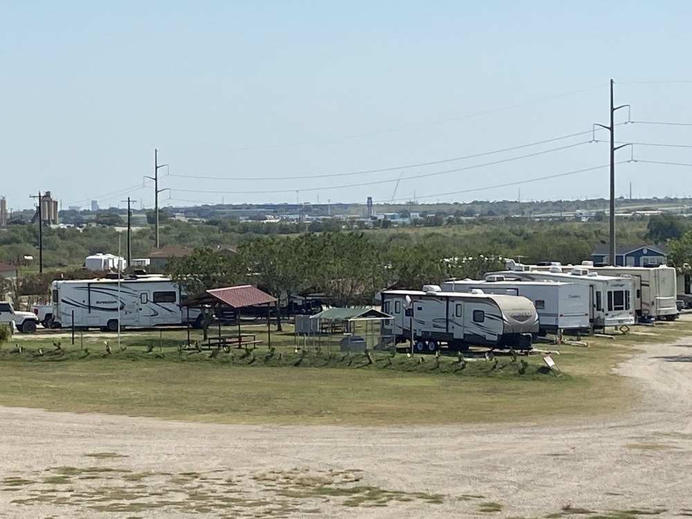 A row of RVs on their spots under a clear sky, with a red-roofed picnic shelter and a gravel drive in front.